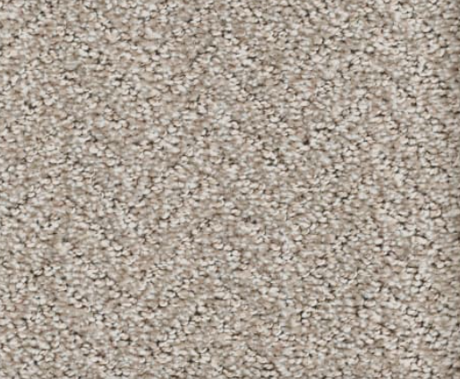 Beige and light brown speckled carpet texture.