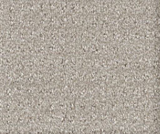 Beige textured carpet.
