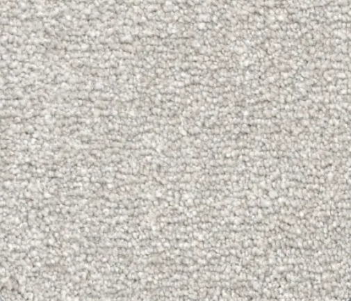 Close-up of light gray carpet with a looped pile texture.