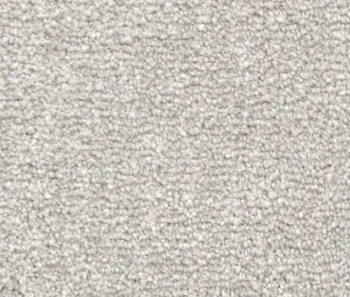 Close-up view of textured, light-colored carpet.