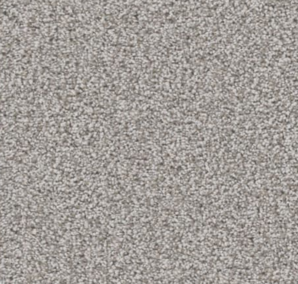 Gray speckled carpet texture.