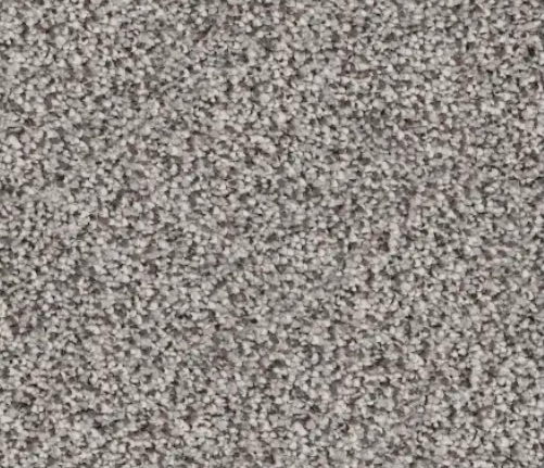 Close-up of gray speckled carpet texture.