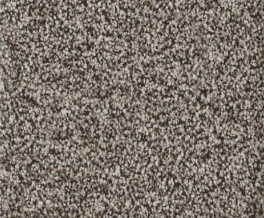 Close-up of a speckled, textured surface, mostly shades of gray and white.