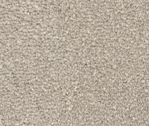 Close-up view of light gray, textured carpet with a speckled appearance.