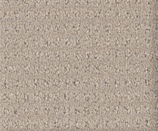 Beige, textured carpet with a repeating, dotted pattern.