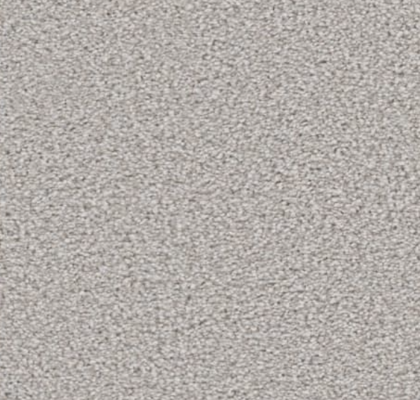 Light gray carpet texture.