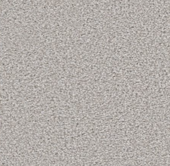 Light gray carpet texture.