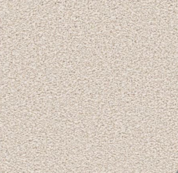 Close-up view of a textured, light beige surface, possibly carpet or fabric.