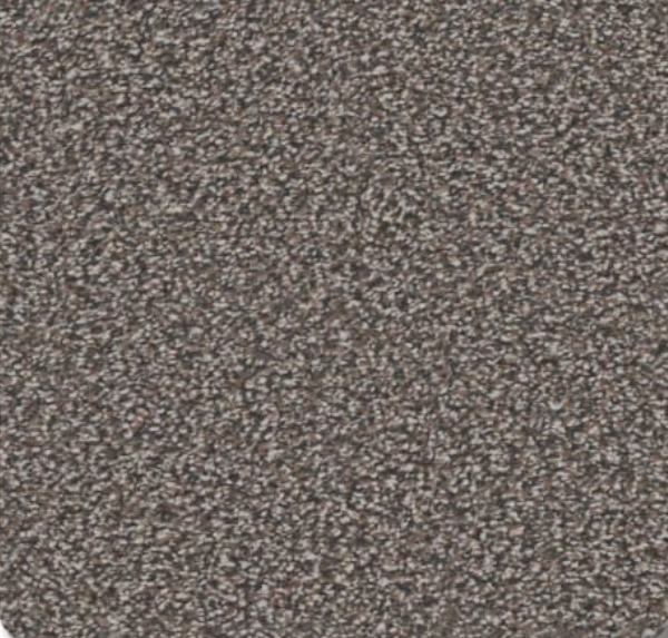Close-up of speckled, neutral-toned carpet with a granular texture.