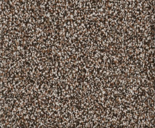 Brown and white speckled carpet texture.