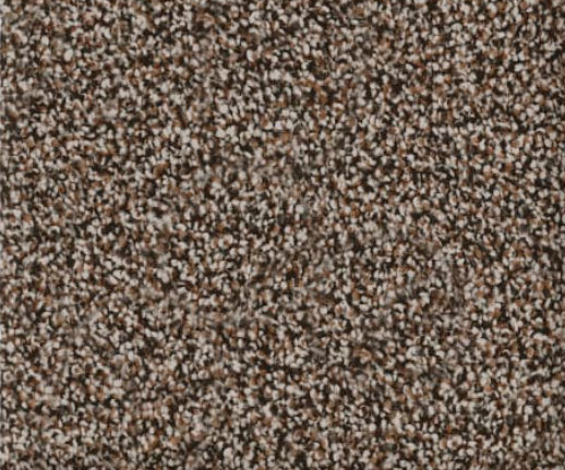 Close-up of brown and beige speckled carpet texture.
