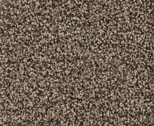 Brown and beige speckled carpet texture.