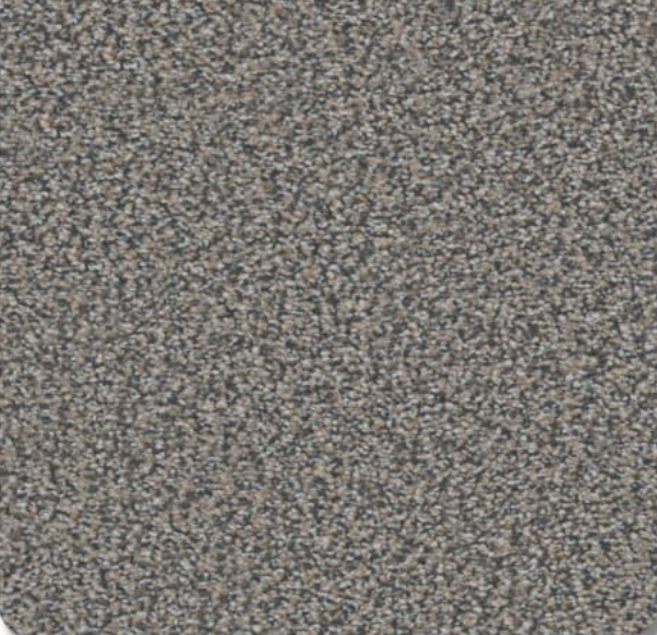 Gray and tan speckled carpet texture.