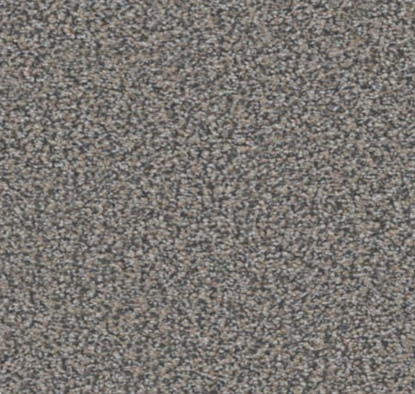 Close-up of a speckled, textured surface; primarily gray, with flecks of brown and black.