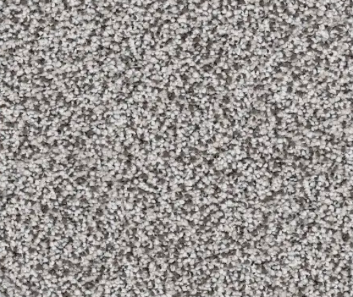 Close-up view of gray speckled textured surface.