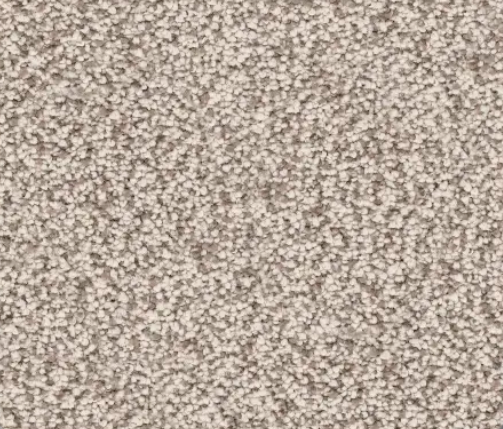 Beige speckled carpet texture.