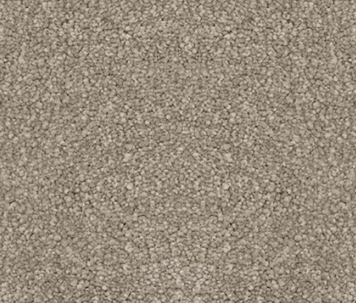 Beige carpet with a speckled texture.