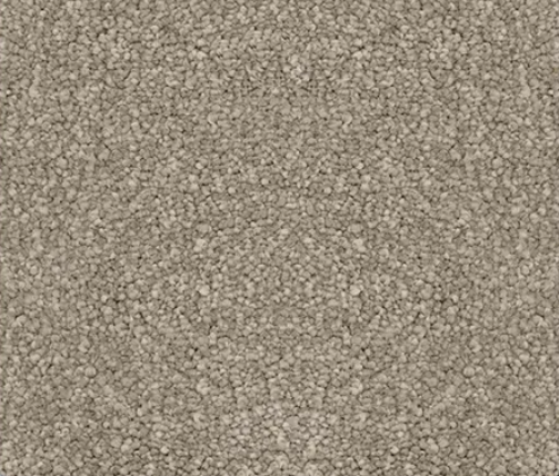 Beige carpet texture with a speckled, granular appearance.