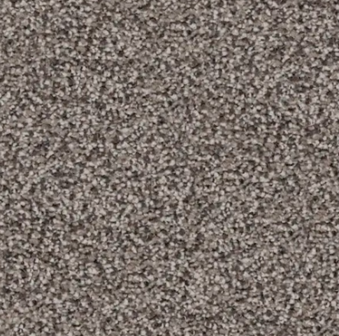 Neutral gray speckled carpet.