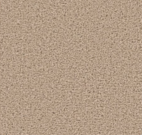 Beige, textured carpet surface.