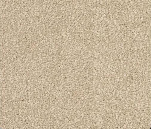 Beige, textured carpet.
