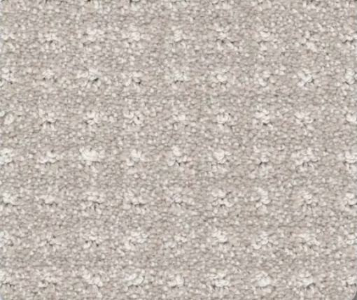 Beige patterned carpet, rows of textured tufts.