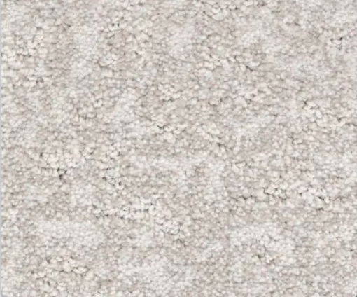 Beige, textured carpet.