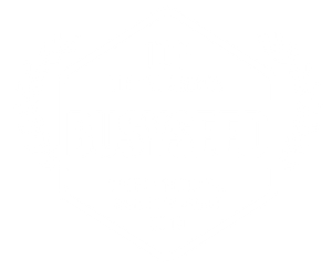 Welcome to BusySeed - Award-Winning Digital Marketing Agency