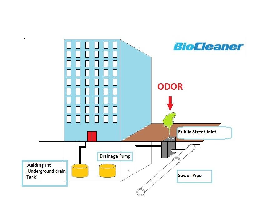 Biocleaner Odor Chart — Monterey Park, CA — Biocleaner Inc.