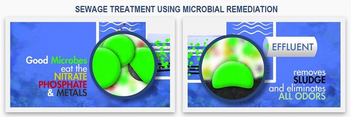 Sewage Treatment — Monterey Park, CA — Biocleaner Inc. Sewage Treatment — Monterey Park, CA — Biocleaner Inc.