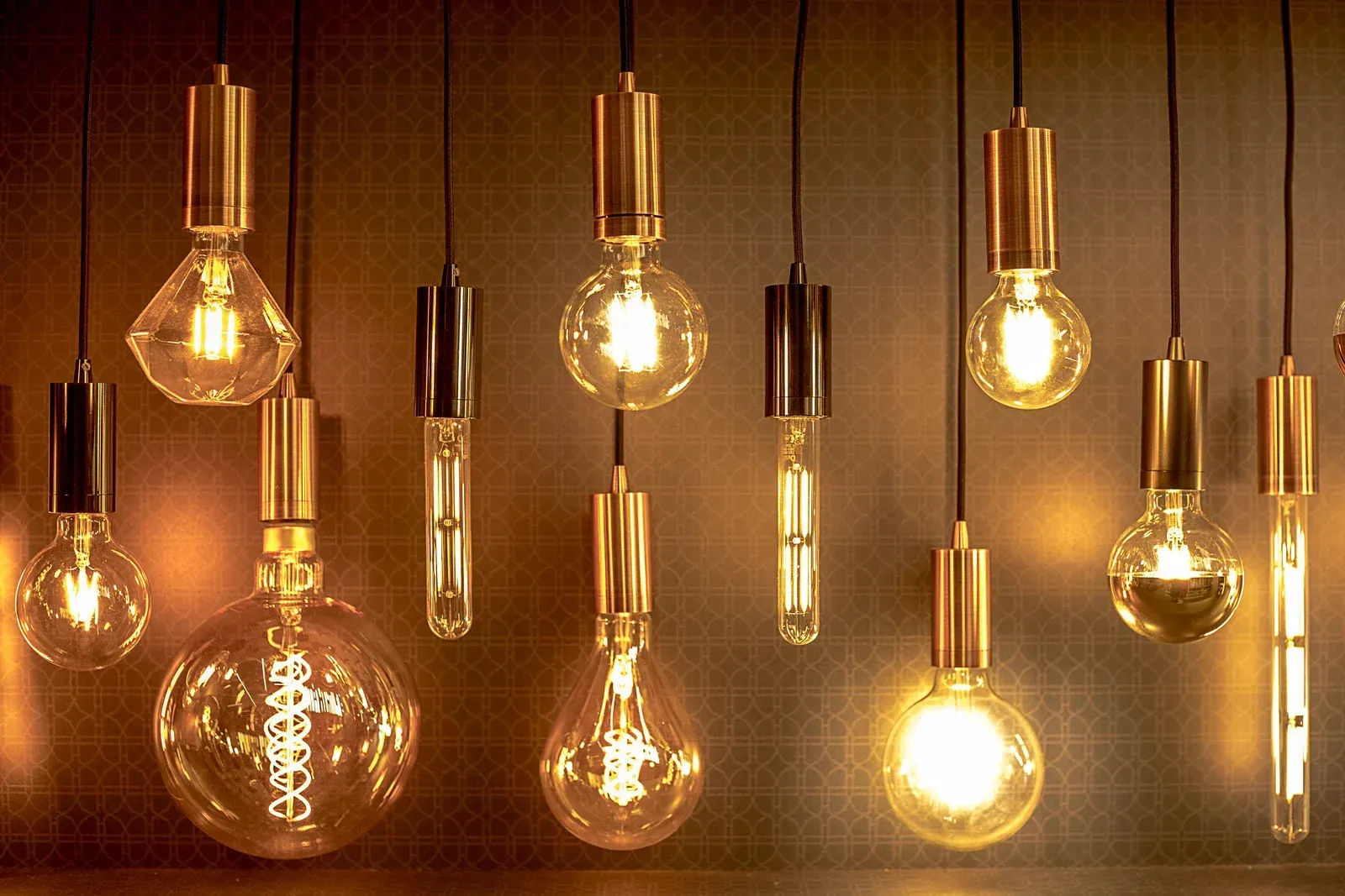 A bunch of different types of light bulbs hanging from the ceiling