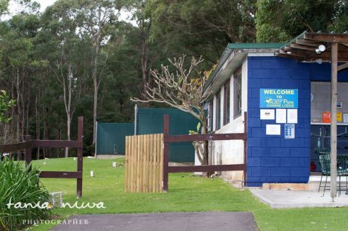 Woman calling dog boarding kennels in  Dural