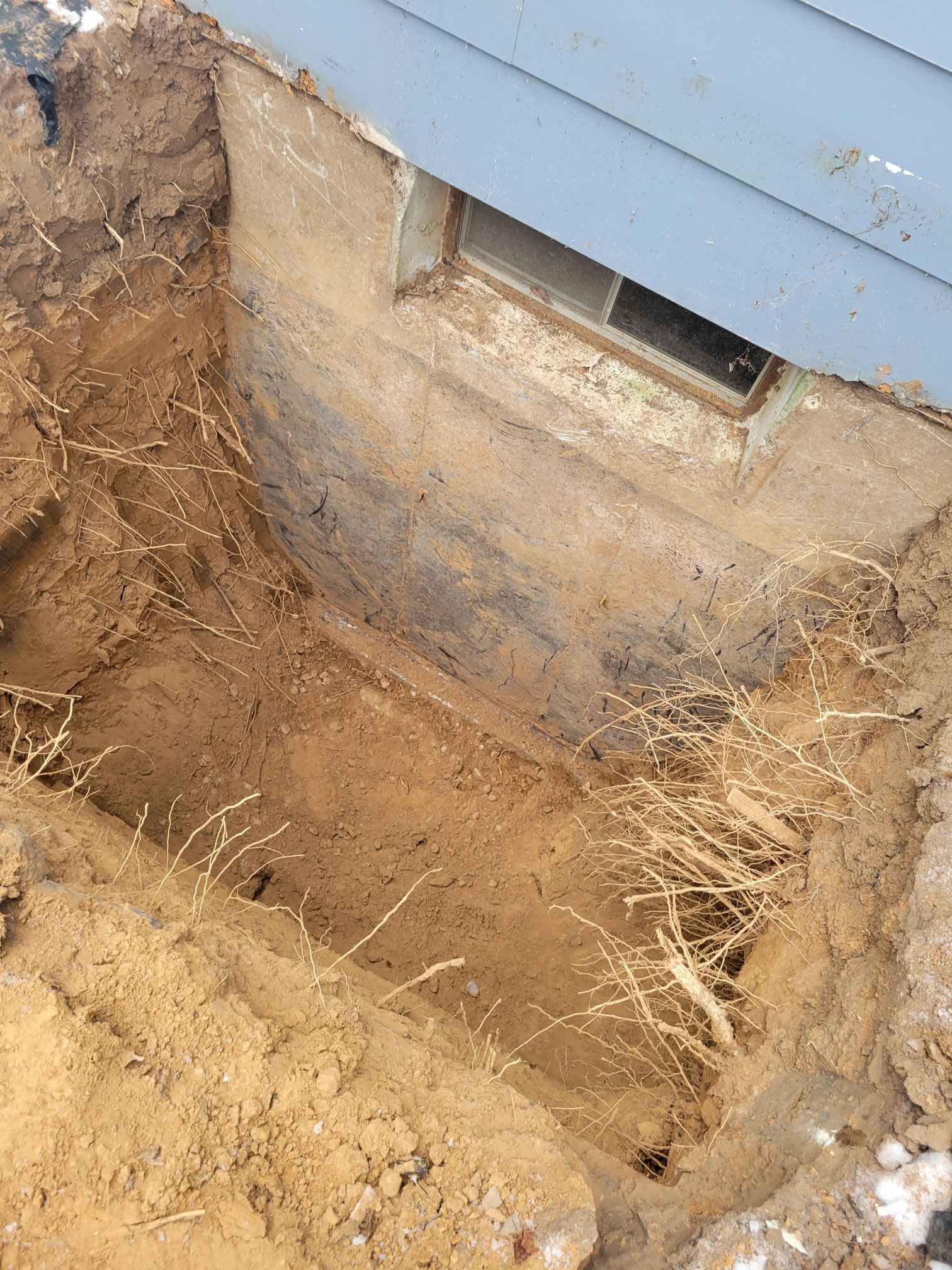 Excavation next to a house foundation, showing roots in the soil and a basement window.