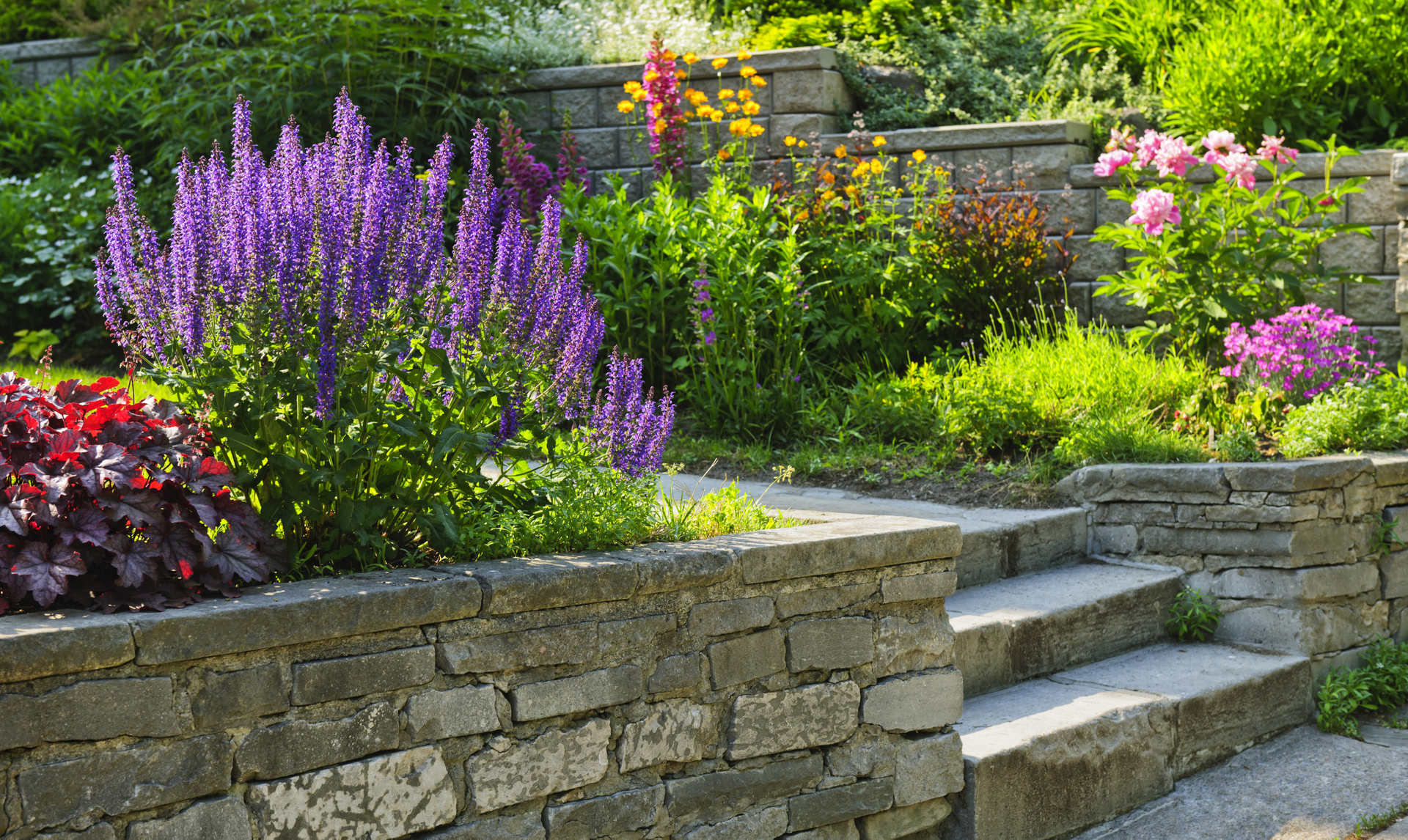 Stone tiered garden with purple, pink, and yellow flowers, and steps.
