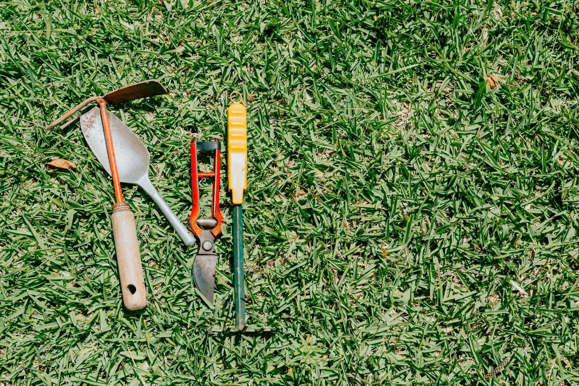 Gardening tools (trowel, hand rake, pruners) on green grass.