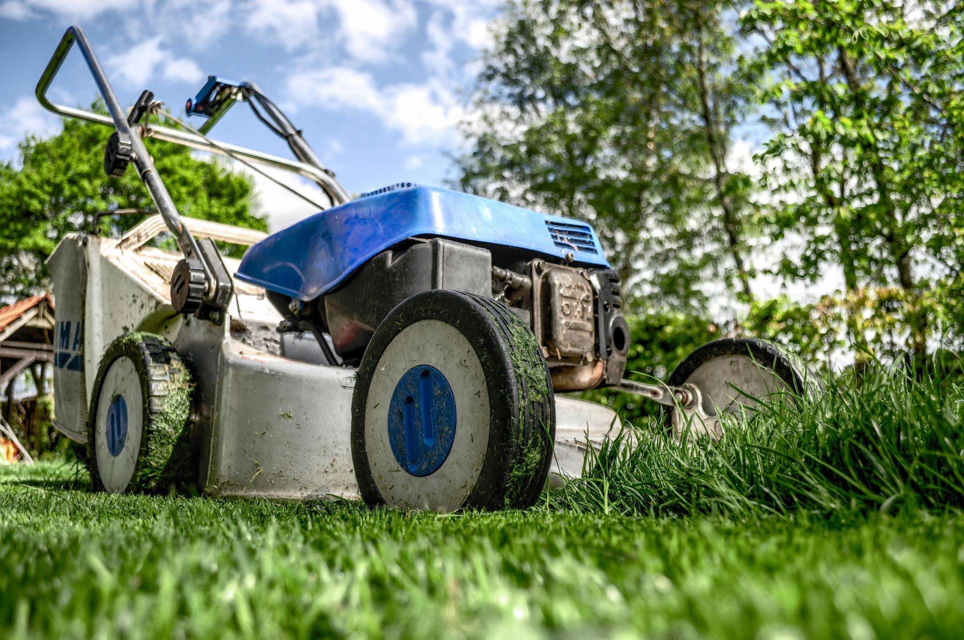 lawn mowing services