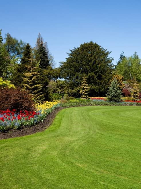 lawn maintenance services