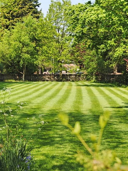 lawn maintenance services