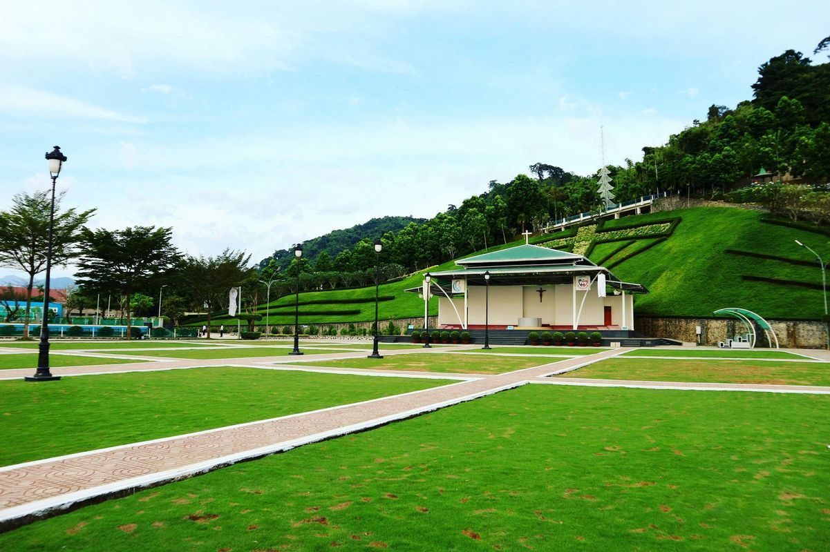 lawn care services