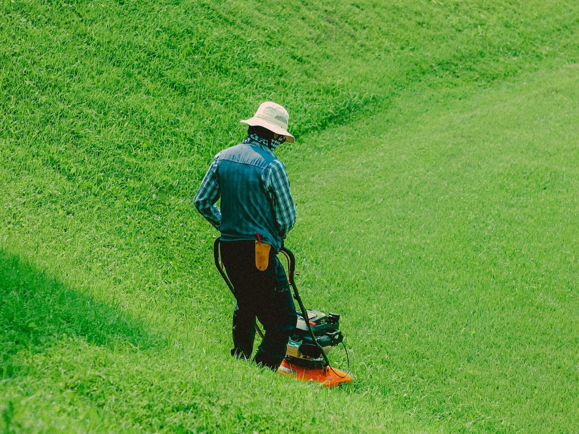 best lawn mowing services in Albany, OH