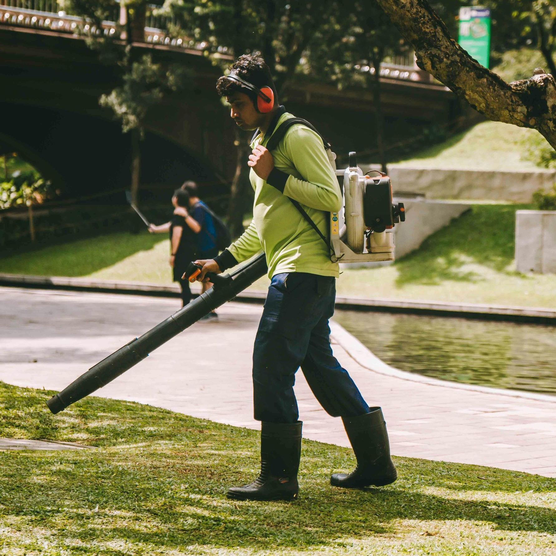 leaf removal service