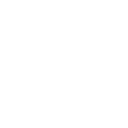 fall yard clean-up services