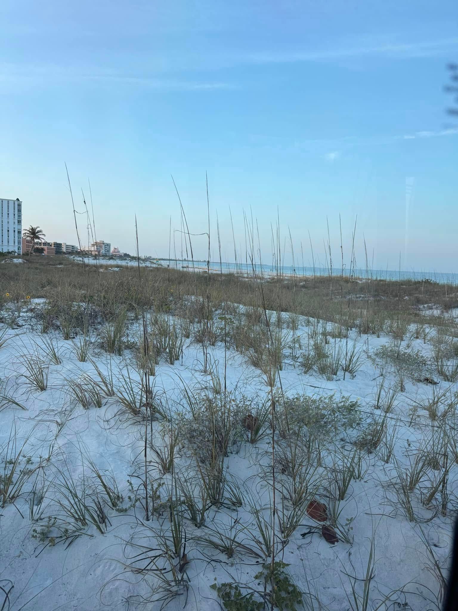 Beach with snow-covered dunes, tall grass, and buildings under a blue sky.