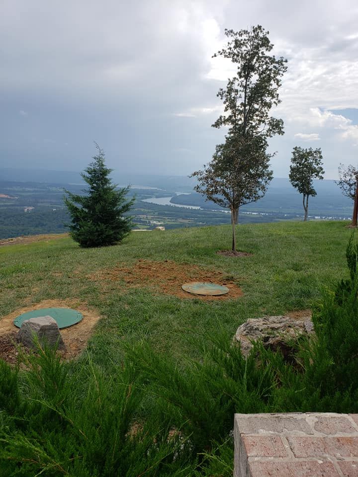 A view of a city from a hill with trees in the foreground.