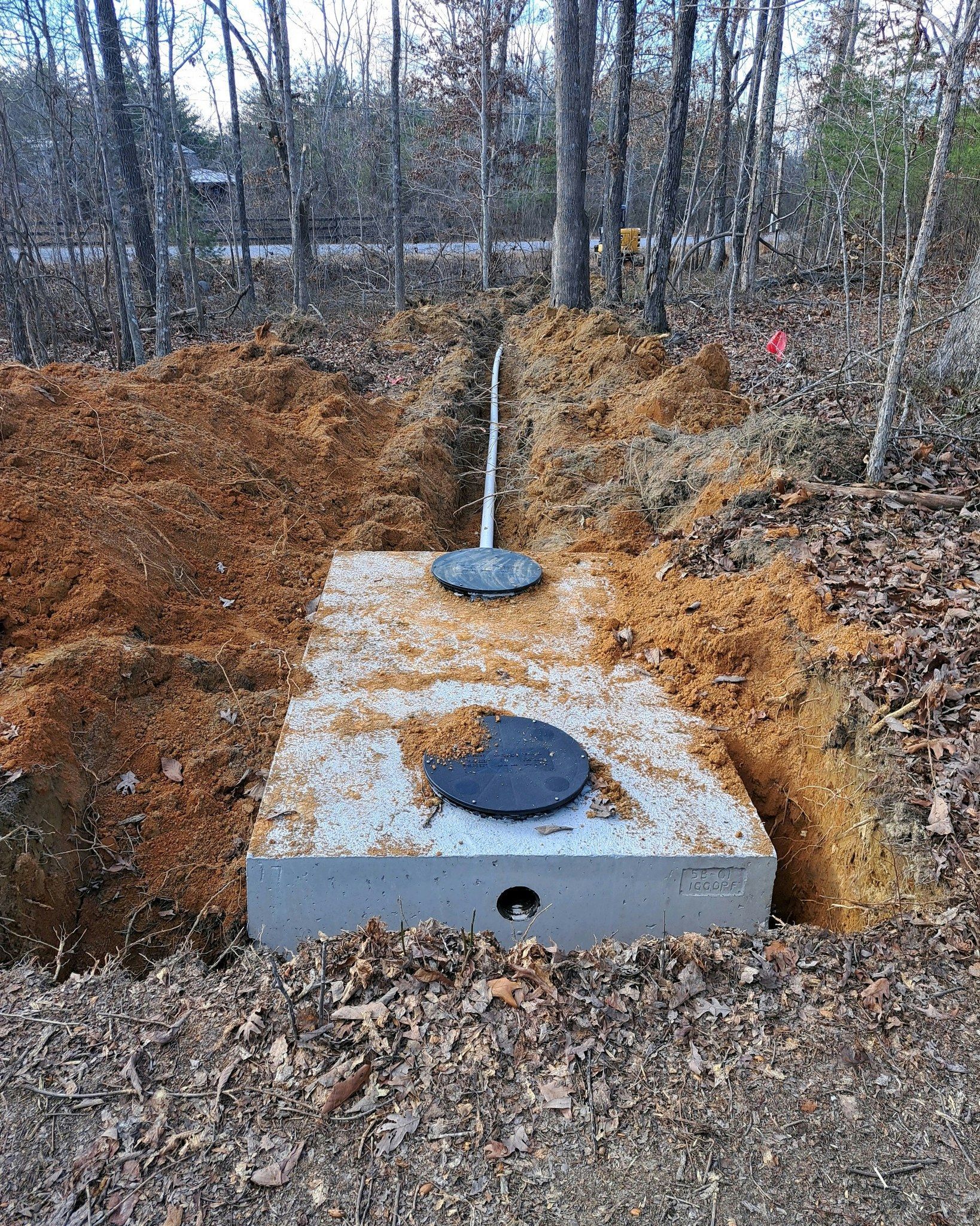 A septic tank is being installed in a hole in the woods.