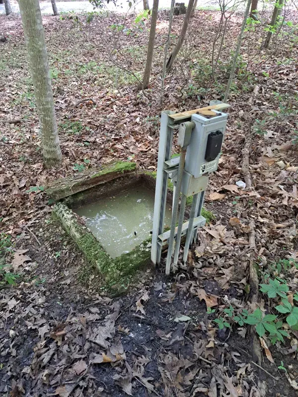 There is a box in the middle of the woods.