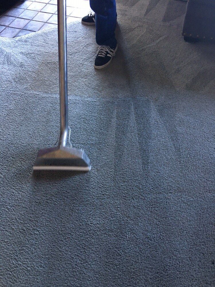 A person is using a vacuum cleaner to clean a carpet.