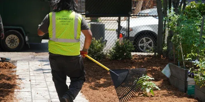 Brooklyn Lawn Care 101 — A Seasonal Maintenance Calendar