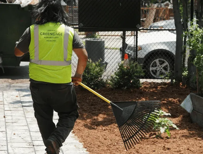 commercial yard cleanup brooklyn ny