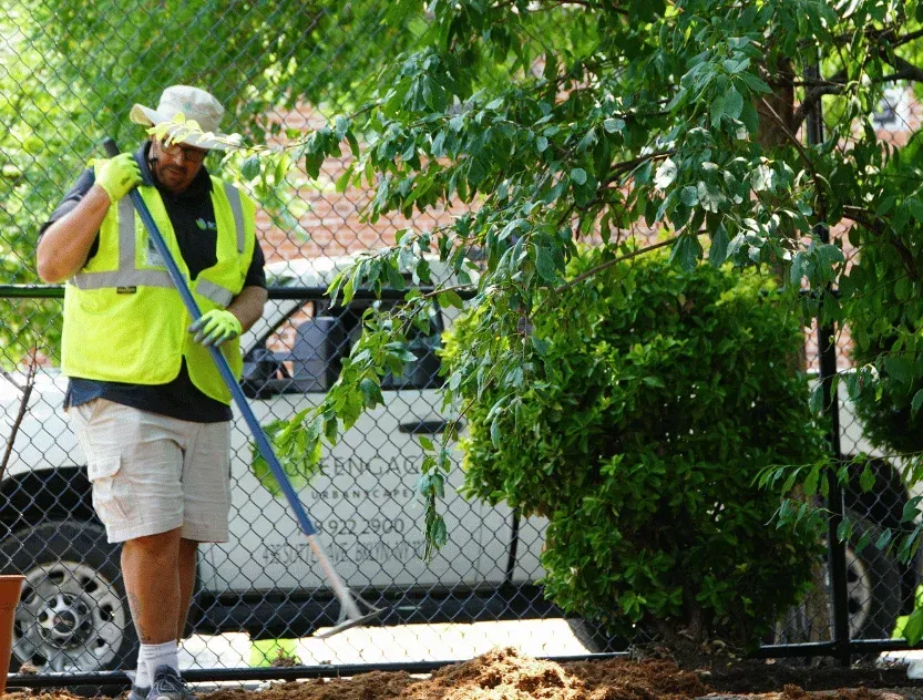 fall yard cleanup brooklyn ny